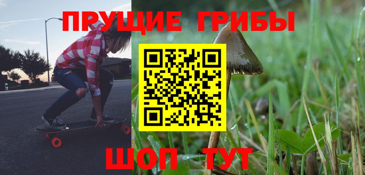 Псилоцибиновые грибы Magic Shrooms  Вход с VPN  Псилоцибиновые грибы Magic Shrooms  Электрогорск 